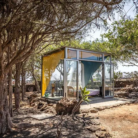 Authentic Canarian Estate By Bayside * Tías